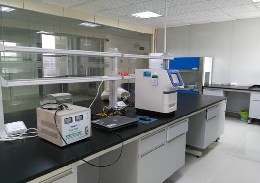 ӫⶨPCR